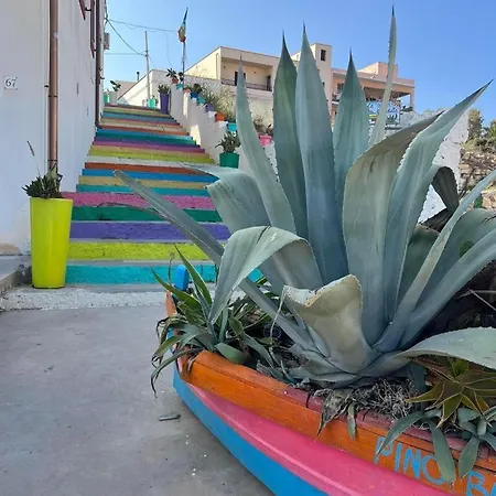 Limu Lampedusa