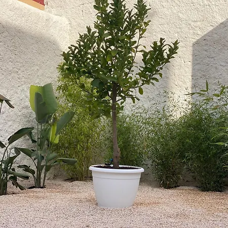 Bed & Breakfast Limu Lampedusa